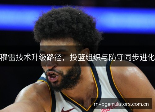 穆雷技术升级路径，投篮组织与防守同步进化